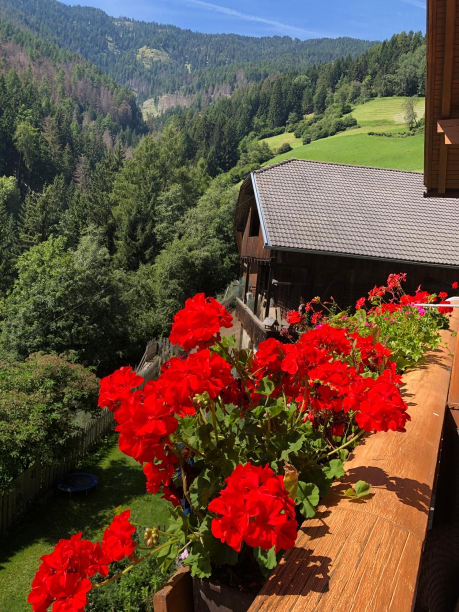 Ferienwohnung Thalerhof Sankt Lorenzen Exterior foto