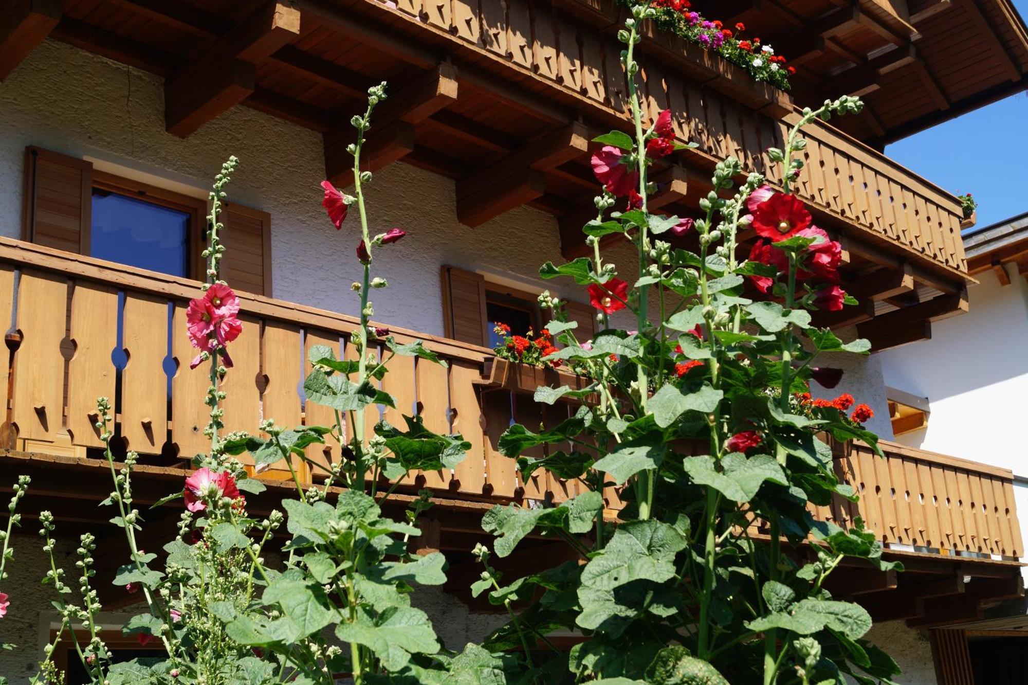 Ferienwohnung Thalerhof Sankt Lorenzen Exterior foto